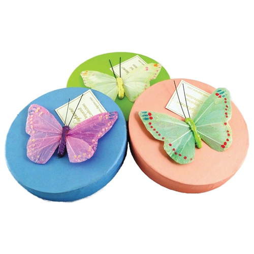 Butterfly Boxes Pastel hot